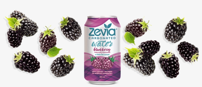 Blackberry Carbonated Water, 355ml - Zevia Blackberry Sparkling W-a-t-e-r 12 Oz Cans - Pack, transparent png download