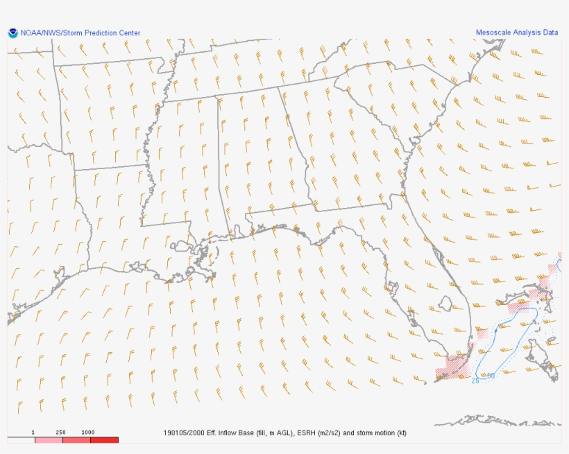 You Bet They Are - Paper, transparent png download