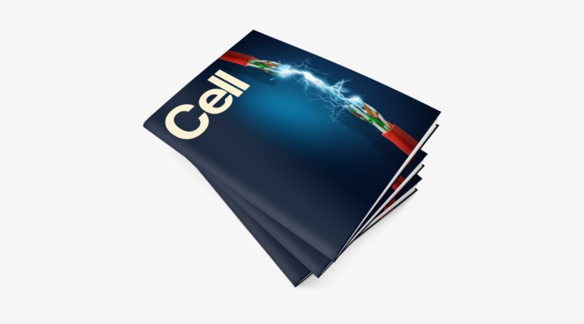 Graphic Design, transparent png download
