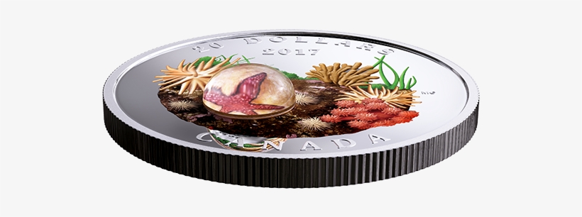 Pure Silver Coloured Coin - Red Onion, transparent png download