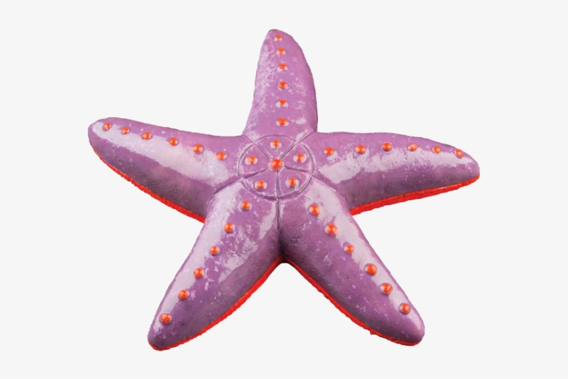 Glofish Ornaments Provides An Ideal Hiding Place For - Glofish 77304 Sea Star Ornament, transparent png download