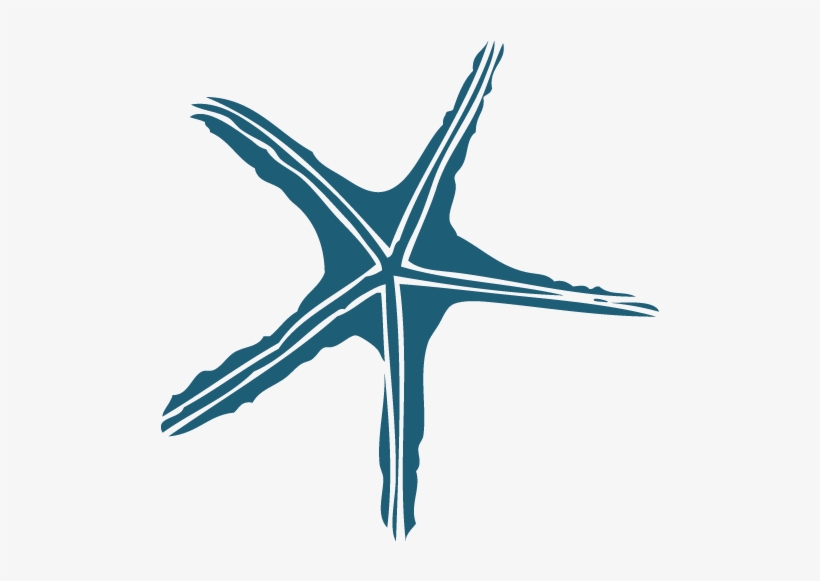 Seastar-1e5d76 - Royalty-free, transparent png download