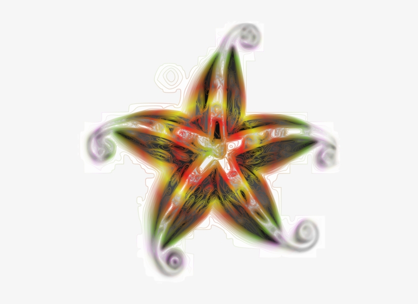 Starfish Download Presentation Library - Icon, transparent png download