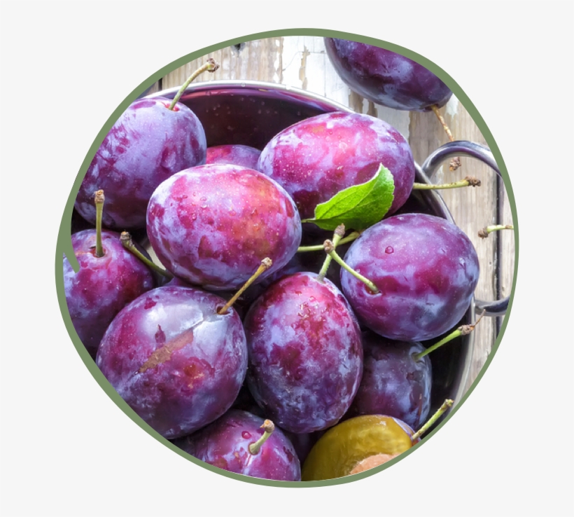 We've Passionately Created A Wide Range Of Baby Foods - Śliwki, transparent png download