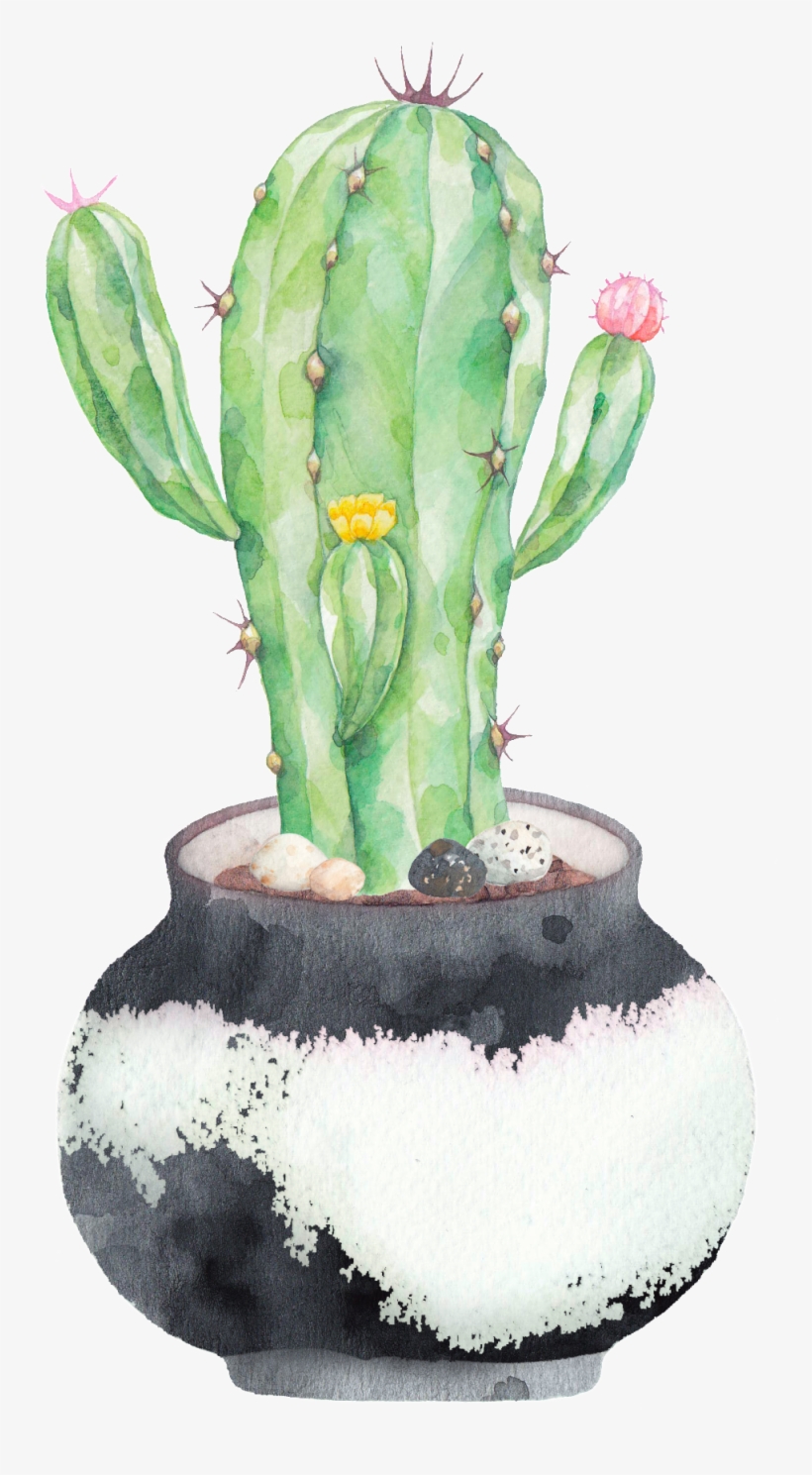 Hand Painted A Plate Of Cactus Png Transparent - Cactus Png, transparent png download