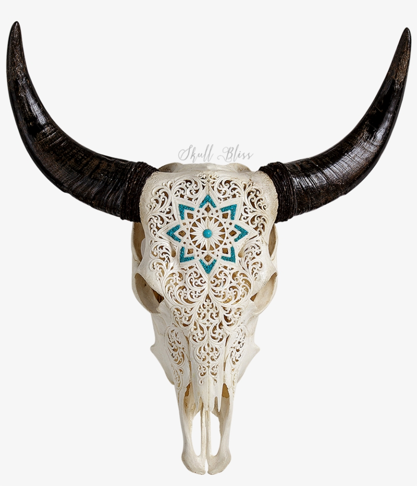 Carved Cow Skull // Xl Horns - Xl Horns, transparent png download