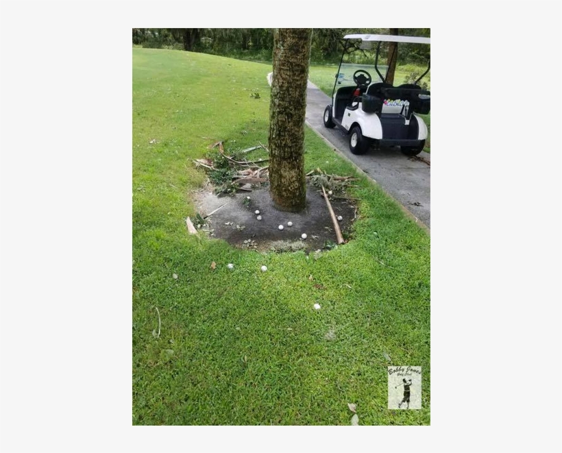 The Sixth Hole At The Bobby Jones Golf Course In Sarasota - Bobby Jones Golf Club, transparent png download