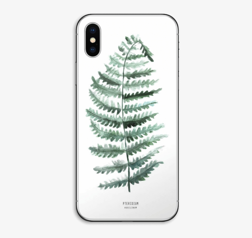 Pteridium Aquilinum - Bracken, transparent png download