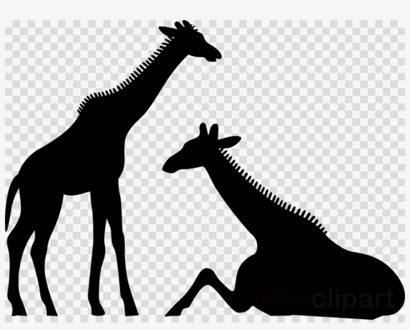 Giraffe Silhouette Sitting Clipart Silhouette The White - Clip Art, transparent png download