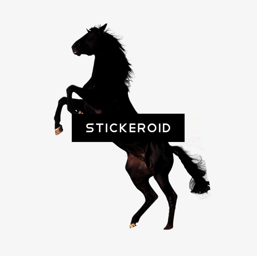 Chess Horse Icon Sport - Horse, transparent png download