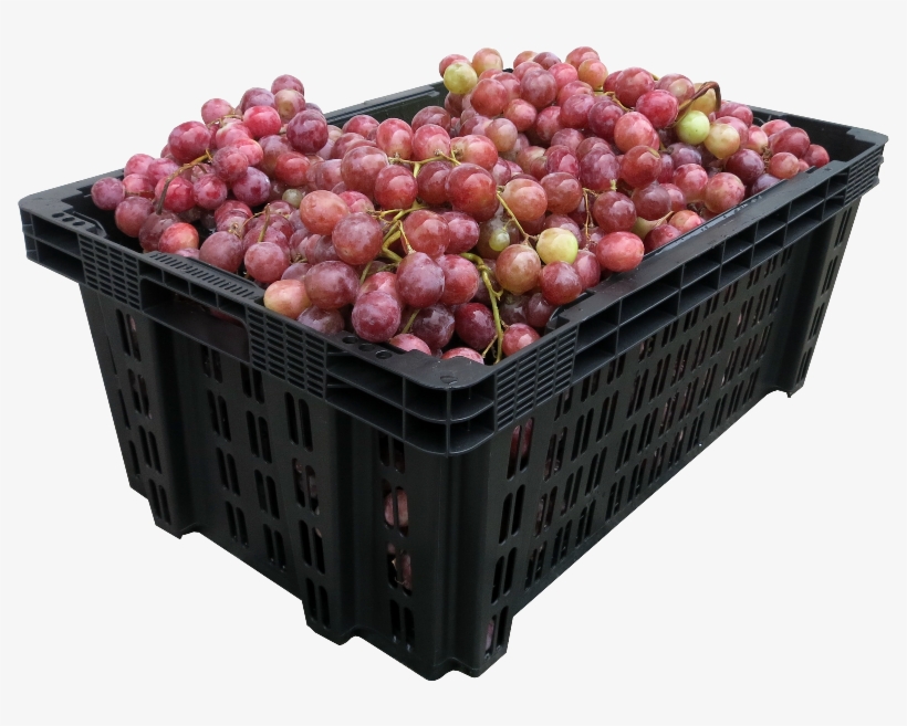 Dentro Del Catálogo De Productos Plásticos Para Transporte - Cajas Para Transportar Uvas, transparent png download