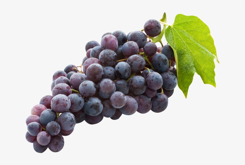 Image18 - Black Grapes, transparent png download