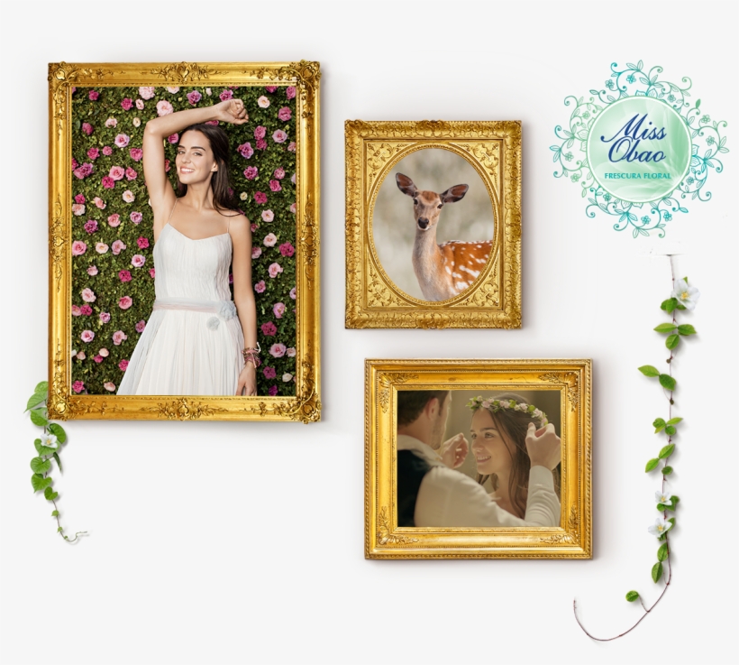 Miss Pared Cuadros - Cottage In The Woods By Katherine Coville, transparent png download