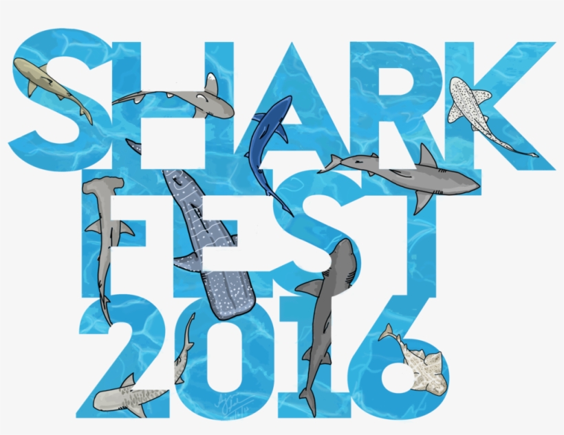 Shark Fest Logo Final, transparent png download