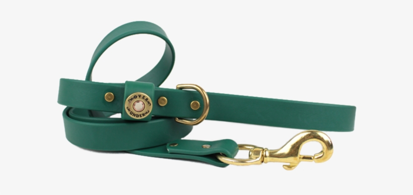 Belt, transparent png download