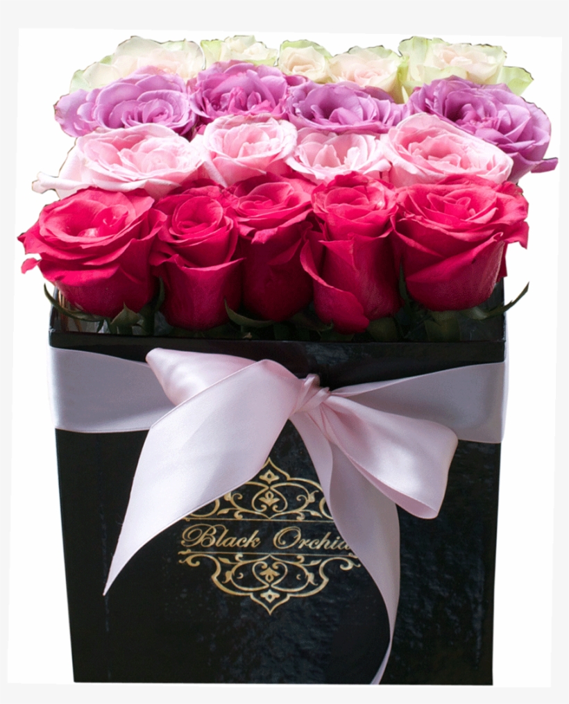 Patricia, Roses In The Box, Flowers In - Bouquet Roses Box Png, transparent png download