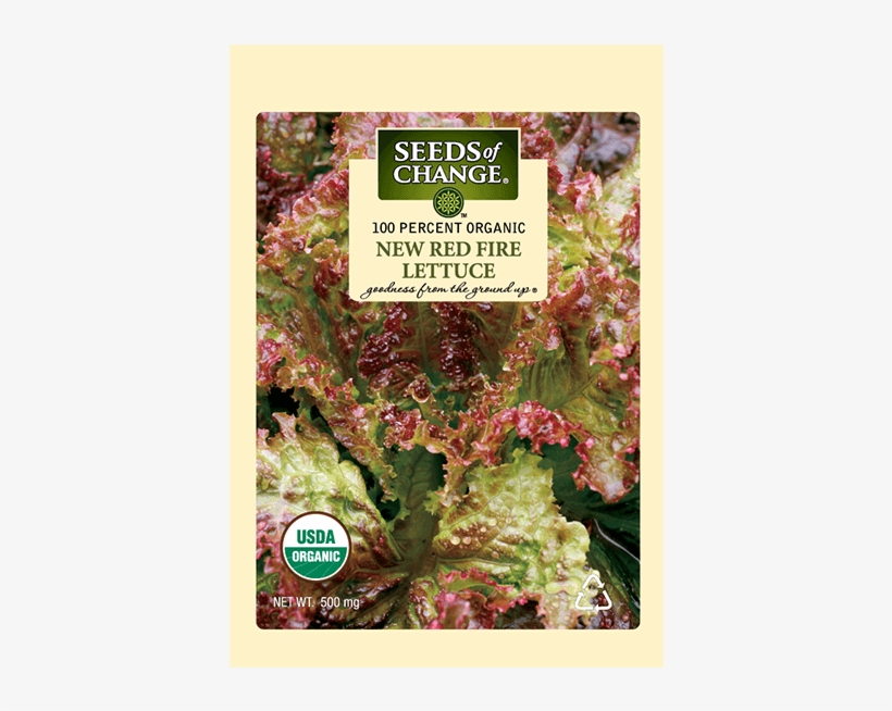 Organic New Red Fire Lettuce Seeds - Leaf Lettuce New Red Fire, transparent png download