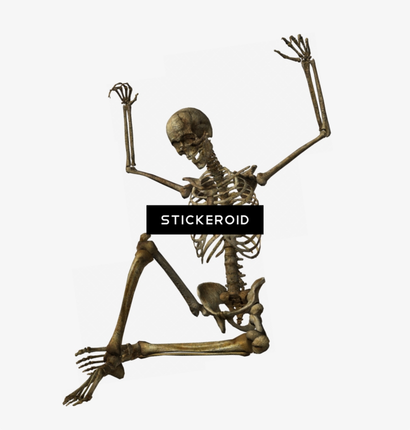 Halloween Skeleton - Portable Network Graphics, transparent png download