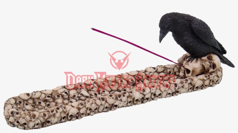 Raven On Skulls Incense Burner - Nemesis Now Raven Skull Incense Holder, transparent png download