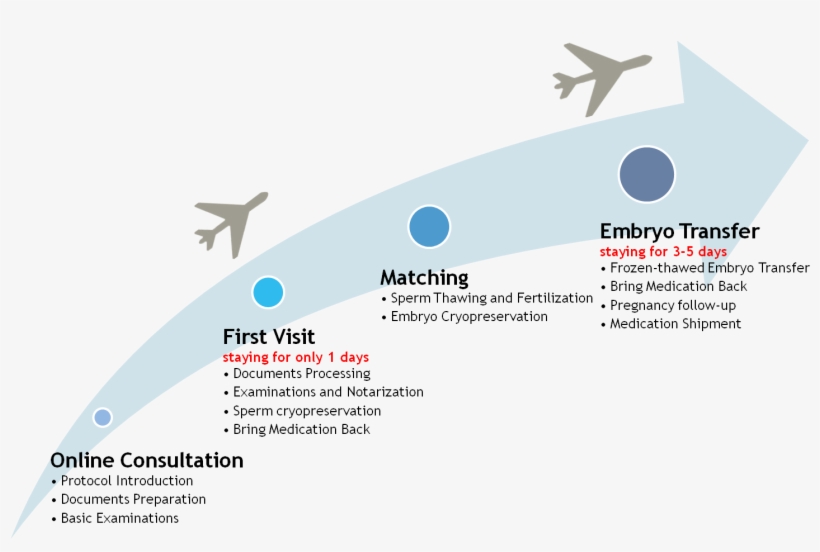 The Procedure Of Oocyte Recipient Program - Ivf Hong Kong Process, transparent png download