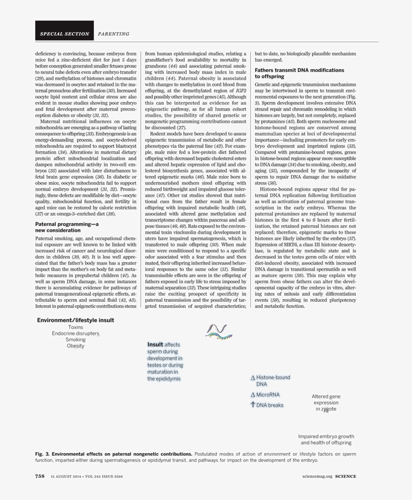 Allegorische Voorstelling Op Het Bloedbad Van Thorn,, transparent png download