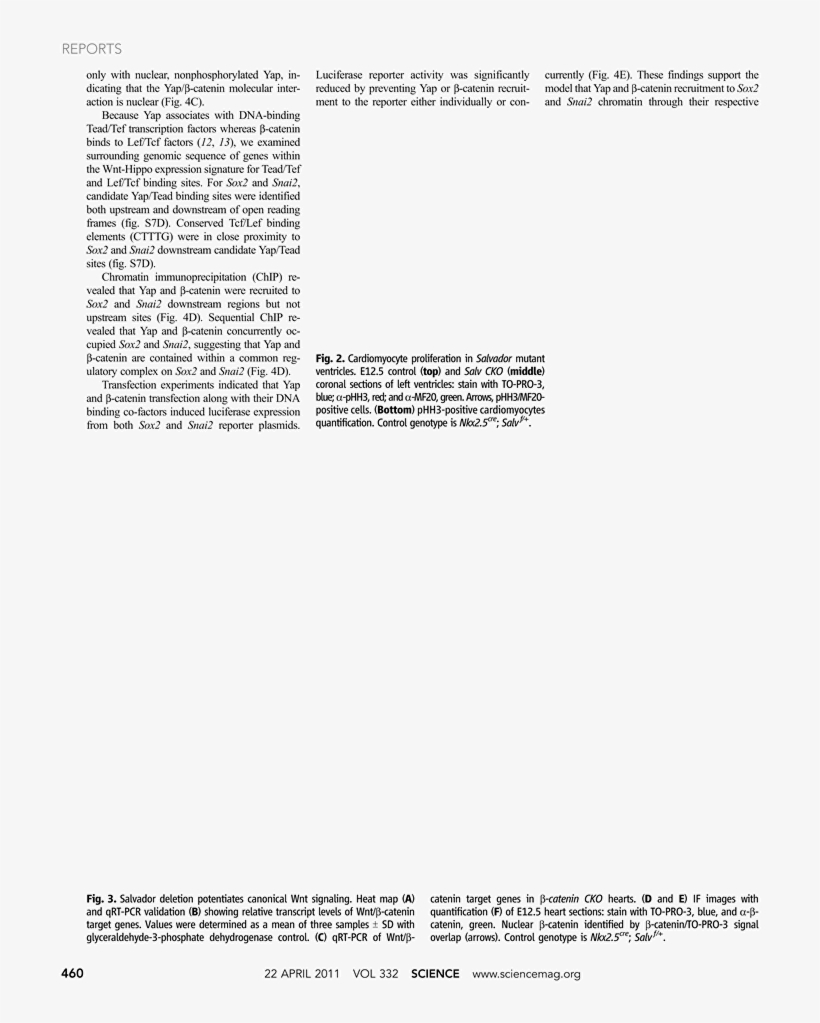 Document, transparent png download