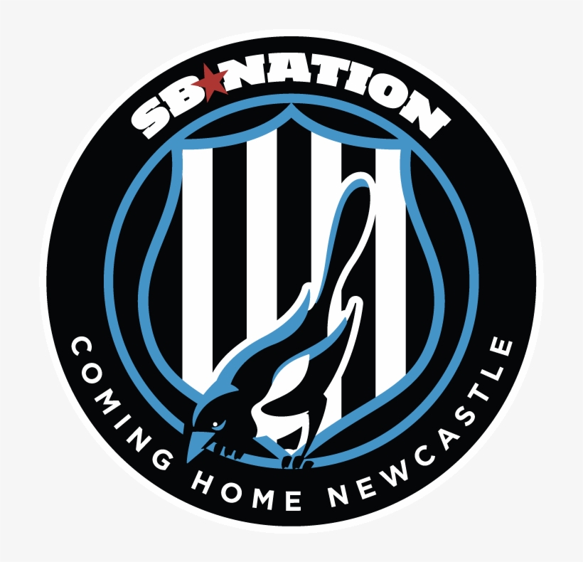 For Me, The Moment That Defines Newcastle Is Cheik - Big Blue View Logo, transparent png download