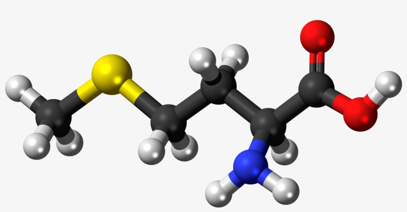 L-methionine Molecule Ball - Amine Compounds (chemical Compounds), transparent png download