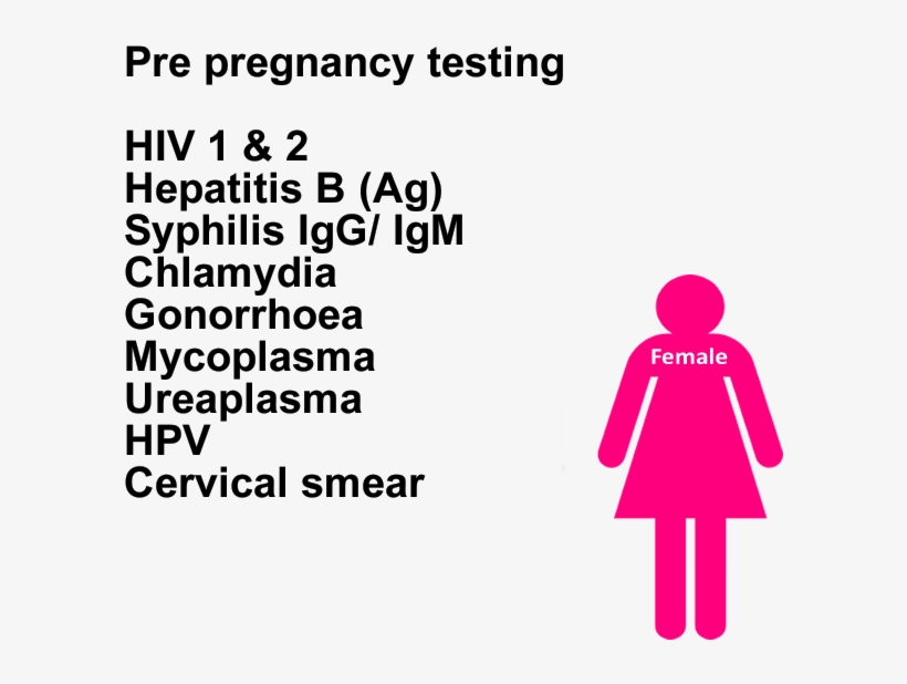 Lomack Sexual Health - Ajuntament De La Senia, transparent png download