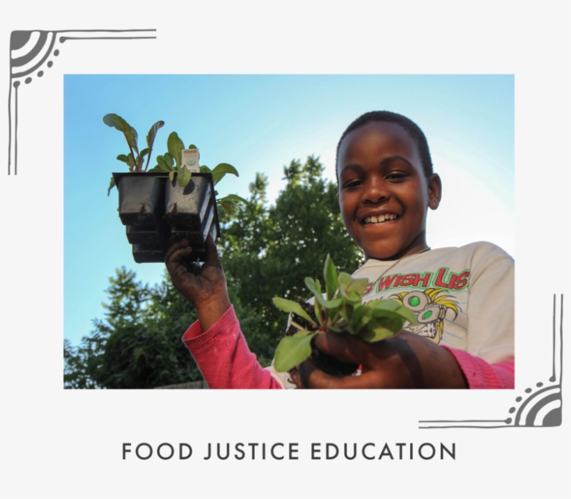 Food Justice Graphic, transparent png download