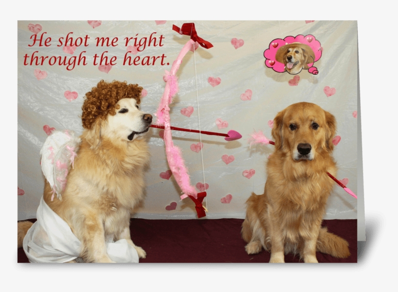 Cupid's Arrow Greeting Card - Greeting Card, transparent png download