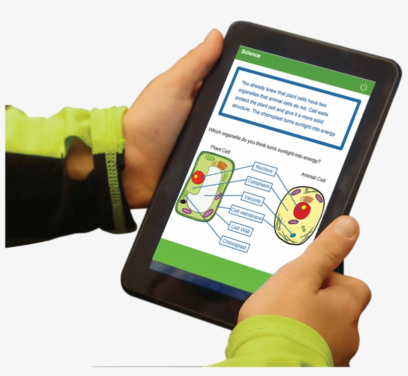 Mobymax Cognitive Skill Science Preview - Skill, transparent png download