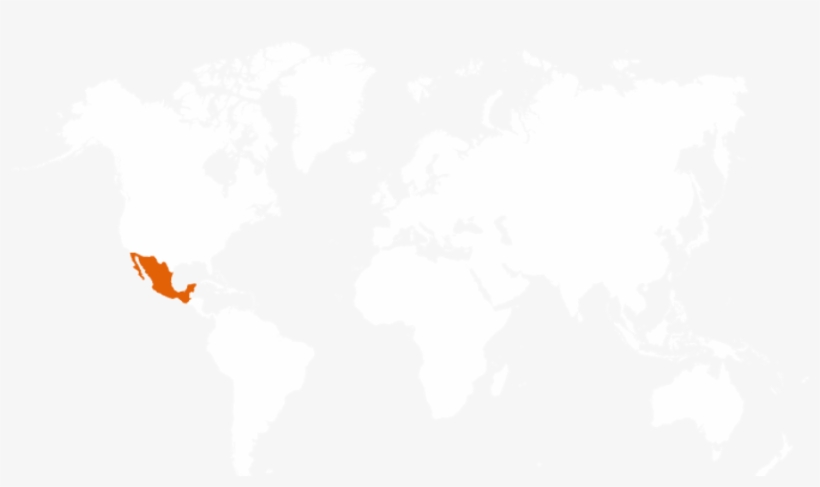 Axolotl - Japanese Spider Crab Where Do They Live, transparent png download