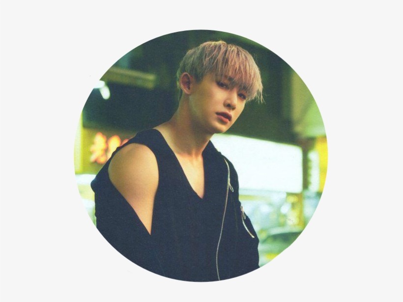 Requested By @shyshy Army Wonho Monstax Monstaxwonho - Monsta X Wonho Photobook, transparent png download