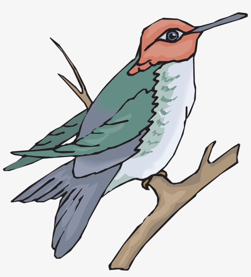 Bird Branch Wings Hummingbird Png Image - Sun Bird Clipart, transparent png download