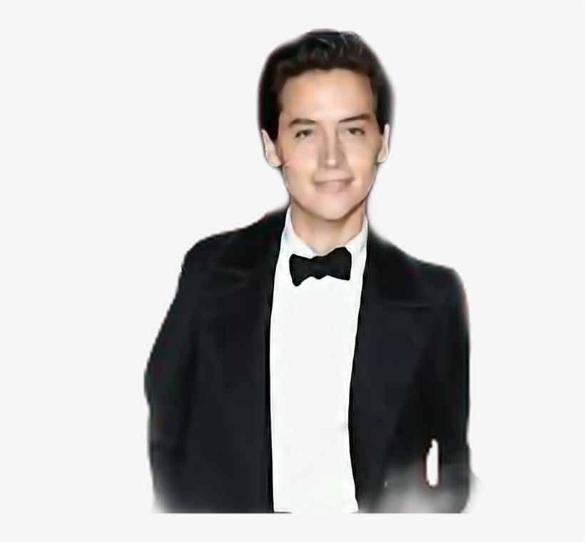Report Abuse - Tuxedo, transparent png download