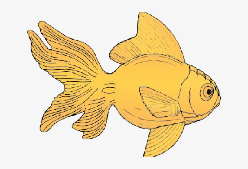 Original - Gold Fish Shower Curtain, transparent png download