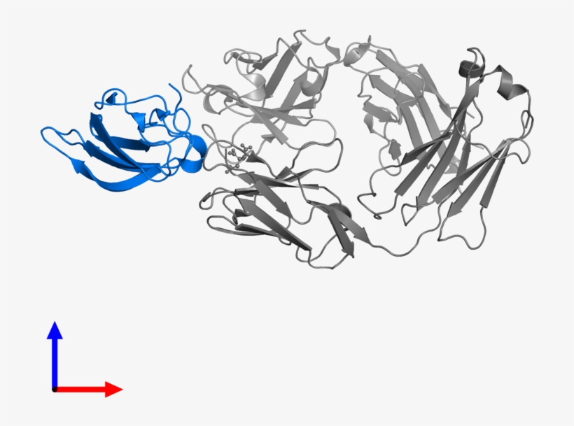 <div Class='caption-body'>pdb Entry 5vig Contains 1 - Illustration, transparent png download