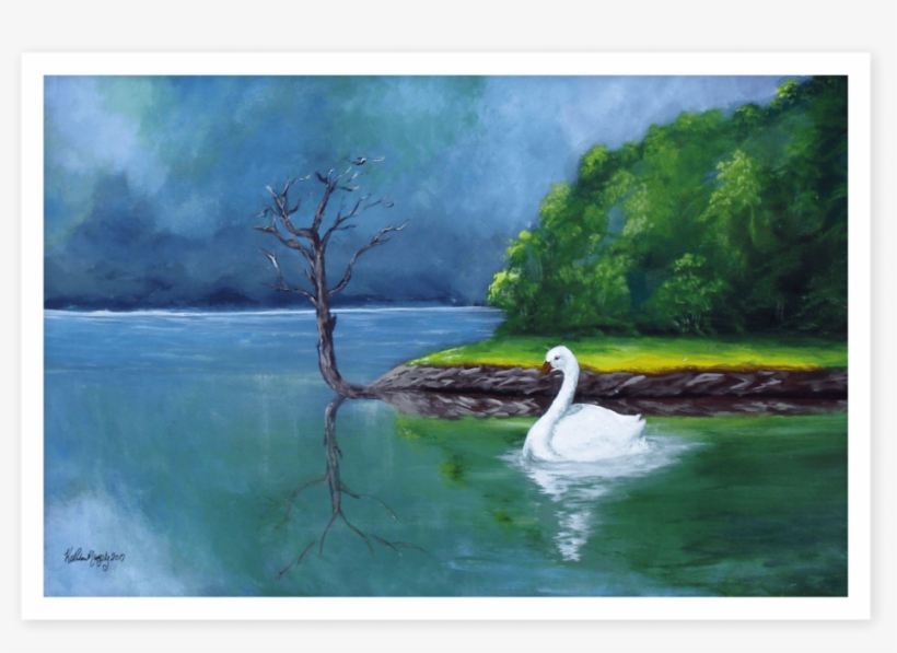 Kathleen Murphy Swan Lake, transparent png download