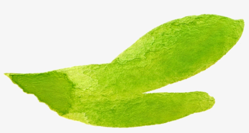 1 2 3 4 5 6 7 8 9 10 11 12 13 14 15 16 17 18 19 - Macro Photography, transparent png download