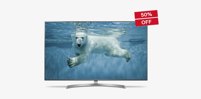 Copenhagen Zoo Polar Bear, transparent png download