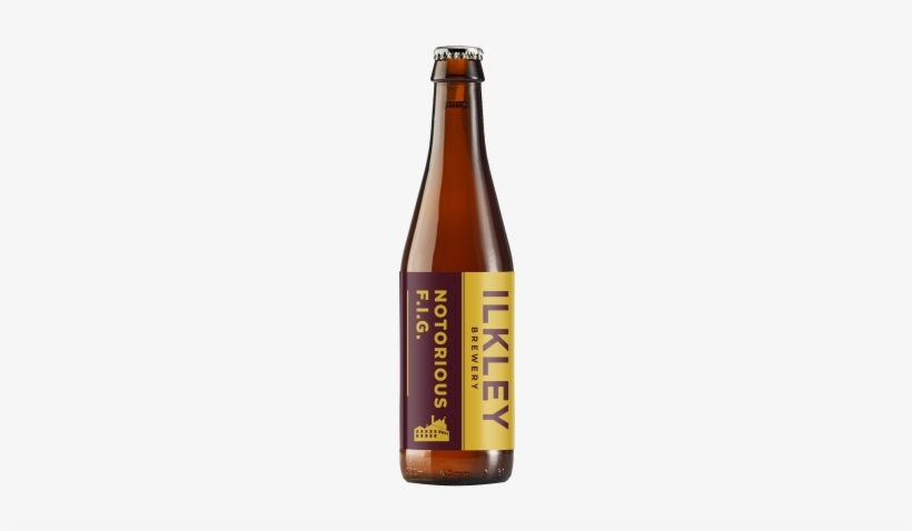 Notorious F - I - G - - Beer Bottle, transparent png download