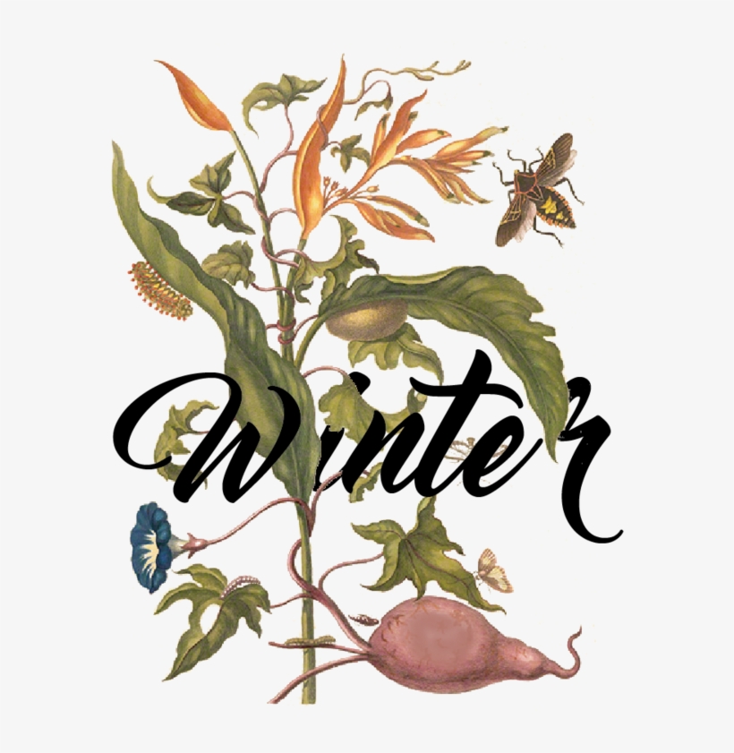 Seasons -03, transparent png download