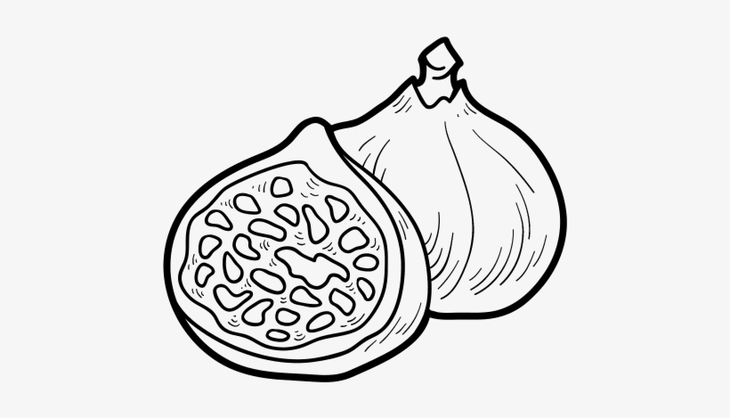 Png Stock Coloring Book Common Food Others Transprent - Higo Dibujo, transparent png download