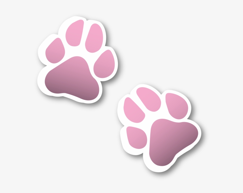 Warm Bath, Blow Dry, Pampered = Puffy Paws - Paw, transparent png download