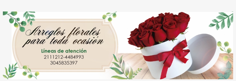 Decoración De Fiestas - Rose, transparent png download