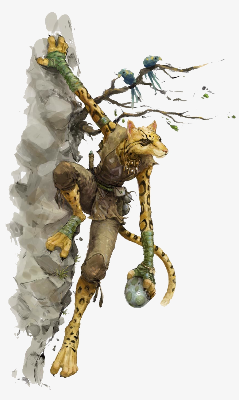 Tabaxi - Tabaxi Dnd 5e, transparent png download