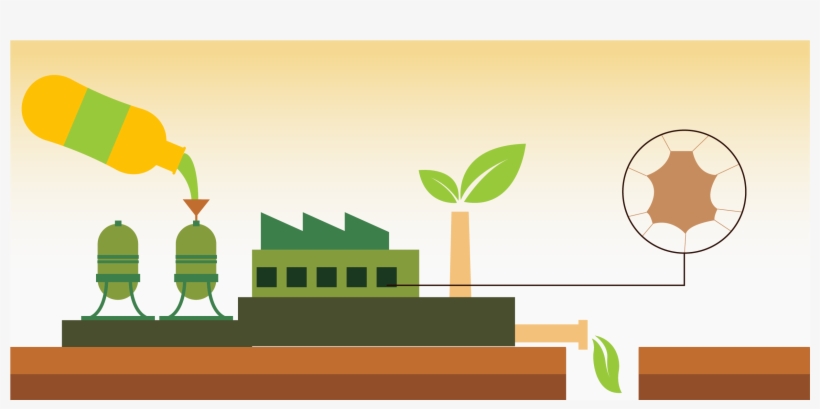 Piloting Use Of Novel Enzymes From Local Bacterial - Enzymes Are Eco Friendly, transparent png download