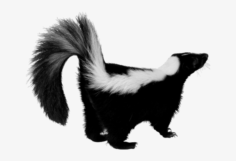 Slender Man Png Images - Skunk Png, transparent png download