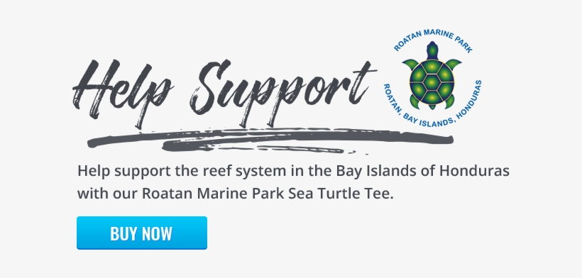 Help Support The Reef System In The Bay Islands Of - Roatán Marine Park, transparent png download